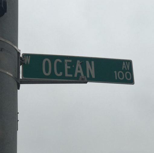 Ocean Ave-curing now - Image 2